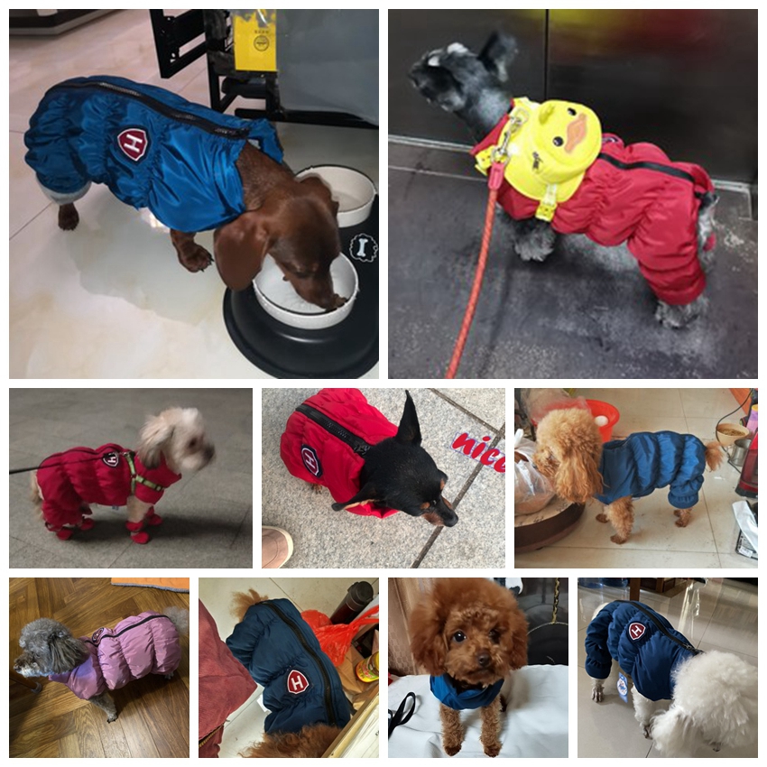 Zipper Snow Unisex Dog Waterpr – Winter Clothing Baby Bewertung und Preis
