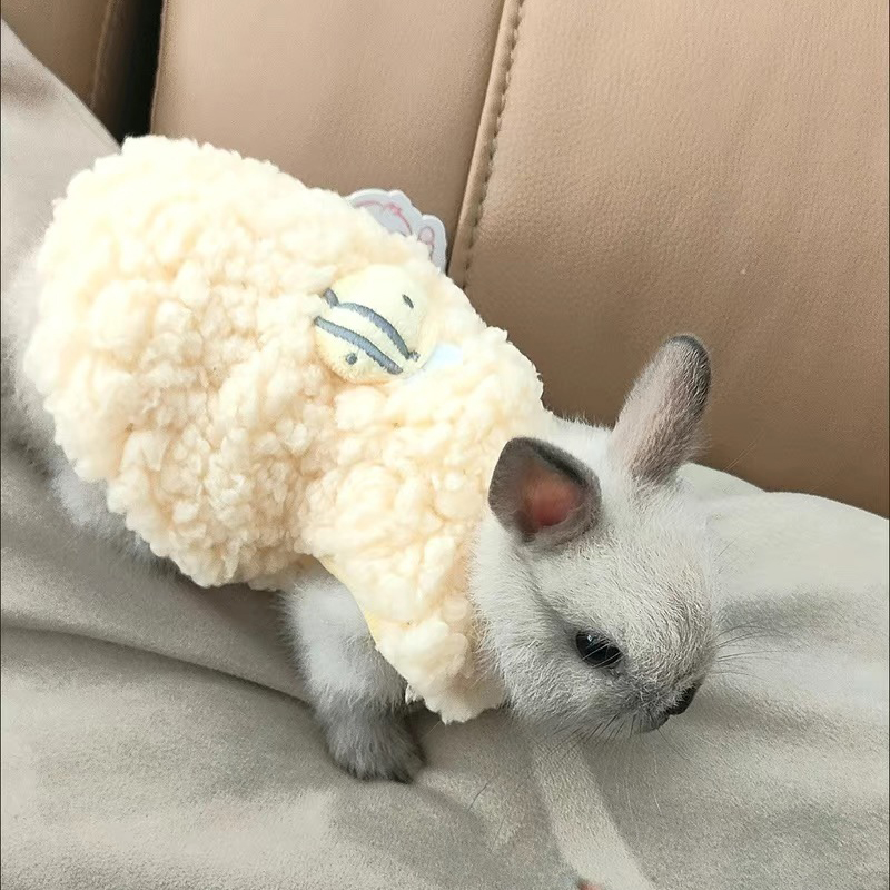 Winter Warm Bunny Rabbit Sweat – Winter Clothing Newborn Bewertung und Preis
