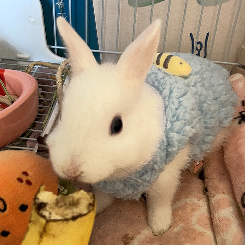 Winter Warm Bunny Rabbit Sweat – Winter Clothing Newborn Bewertung und Preis
