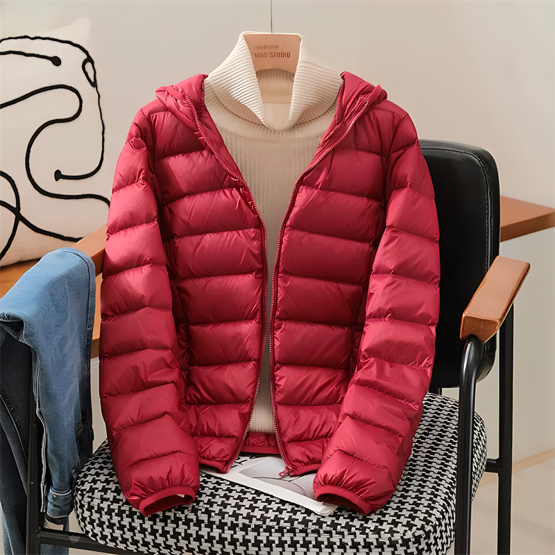Plus Size Women Hooded Korean  – Puffer Jacket Women Down Bewertung und Preis