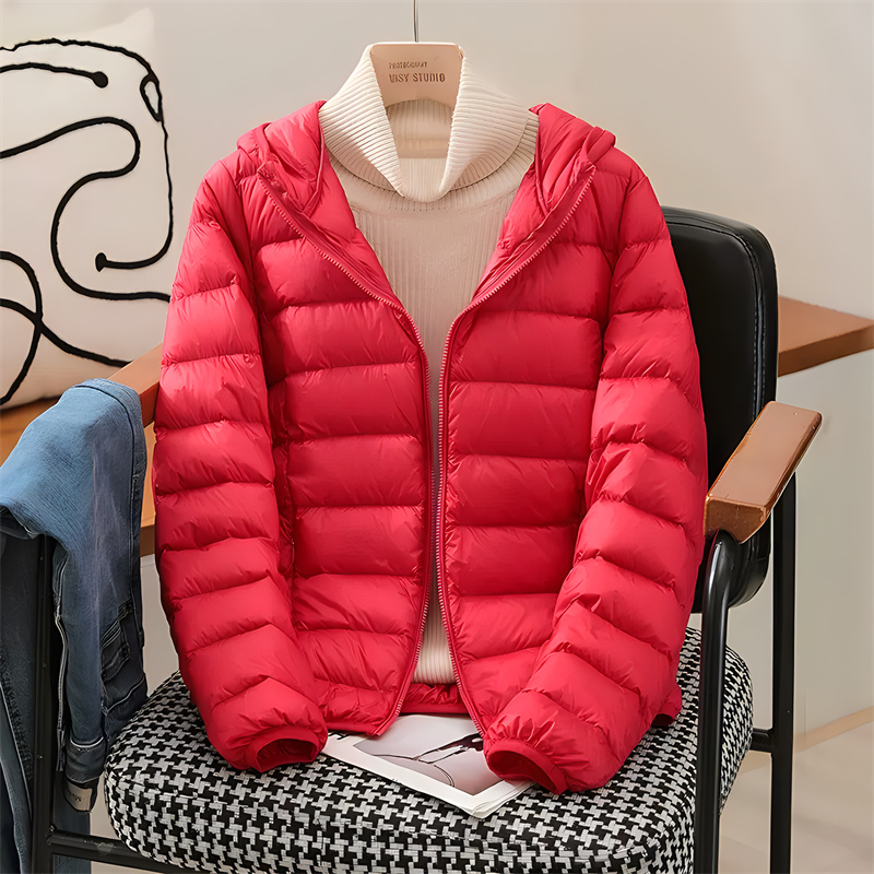 Plus Size Women Hooded Korean  – Puffer Jacket Women Down Bewertung und Preis
